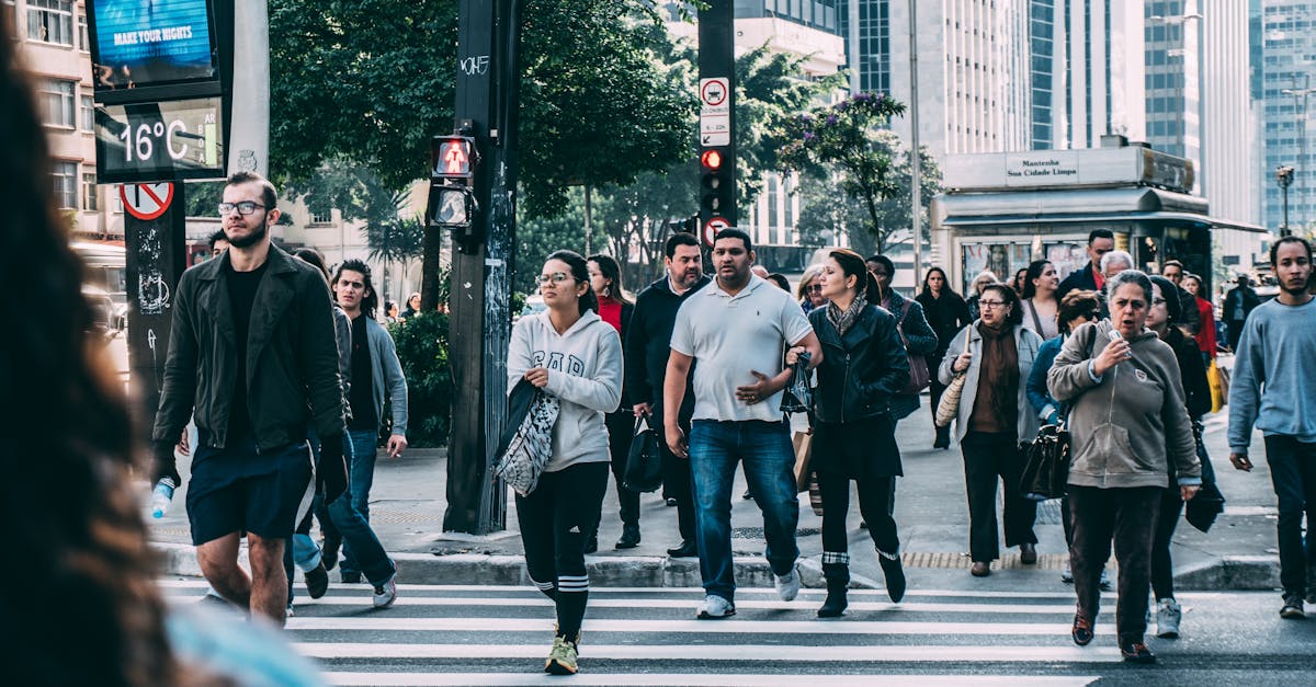 découvrez les meilleures stratégies pour développer votre business, optimiser vos performances et atteindre vos objectifs. explorez des conseils pratiques, des astuces de marketing et des ressources essentielles pour les entrepreneurs.
