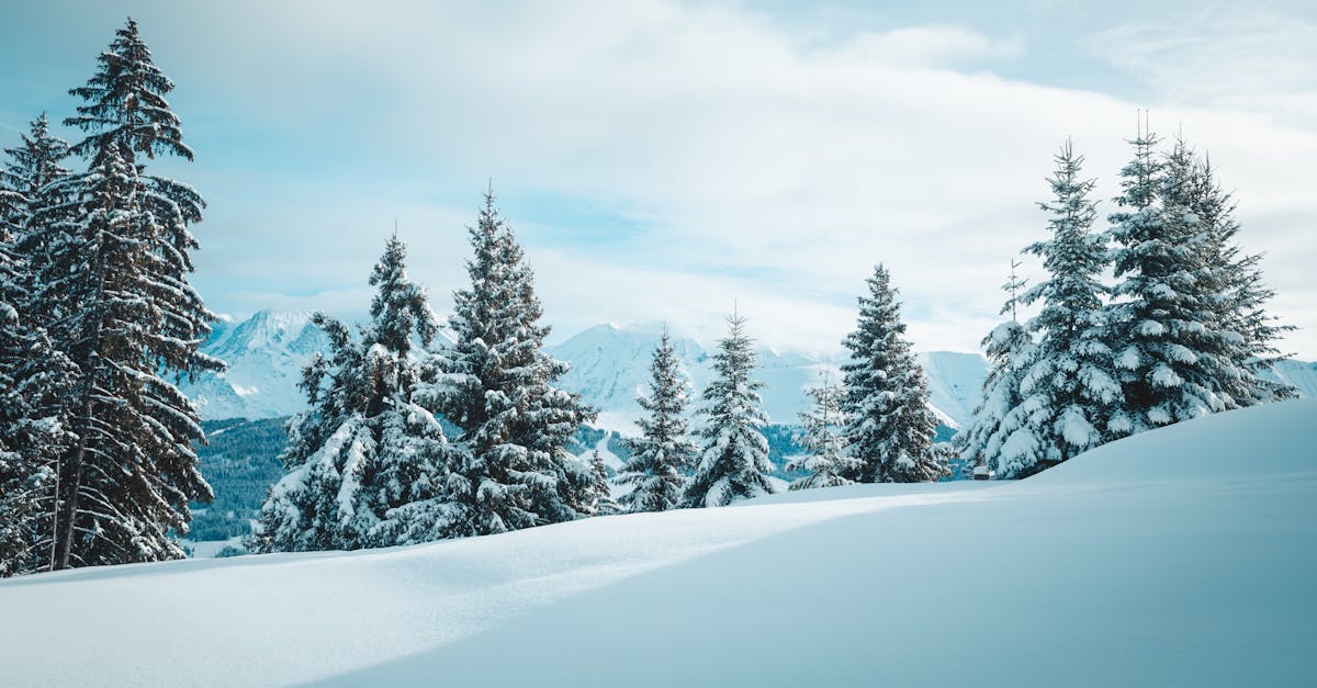 découvrez les tendances naturelles qui redéfinissent notre rapport à l'environnement. explorez les dernières innovations en matière de durabilité, de mode éthique et d'écologie, et inspirez-vous pour adopter un mode de vie en harmonie avec la nature.