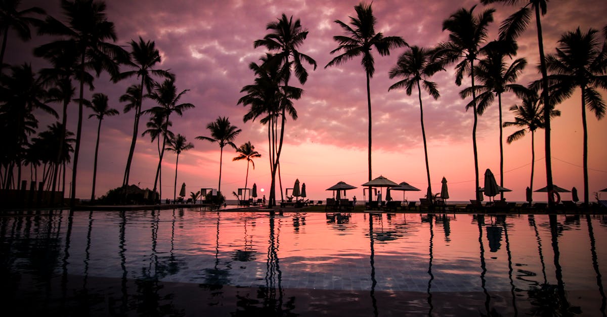découvrez le paradis sur terre avec notre guide complet sur les destinations de rêve, les plages idylliques et les expériences inoubliables qui vous transporteront vers un monde de sérénité et d'émerveillement.