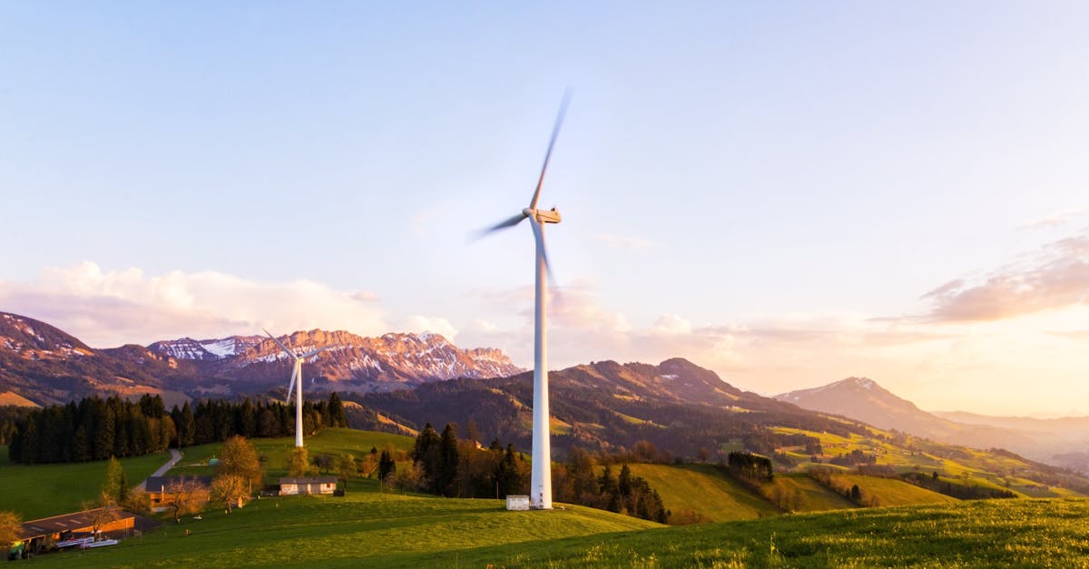 découvrez les principes de la sustainability : pratiques, enjeux et conseils pour adopter un mode de vie et une gestion responsable, respectueux de l'environnement et des générations futures.