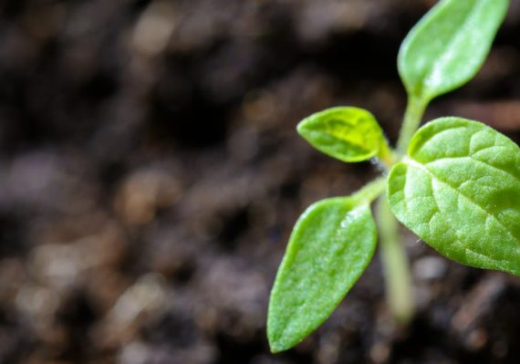 découvrez comment la durabilité contribue à préserver l'environnement, à optimiser les ressources et à assurer un avenir responsable pour les générations futures. conseils, bonnes pratiques et innovations pour un monde plus durable.