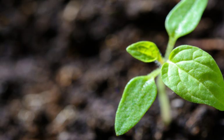 découvrez comment la durabilité contribue à préserver l'environnement, à optimiser les ressources et à assurer un avenir responsable pour les générations futures. conseils, bonnes pratiques et innovations pour un monde plus durable.