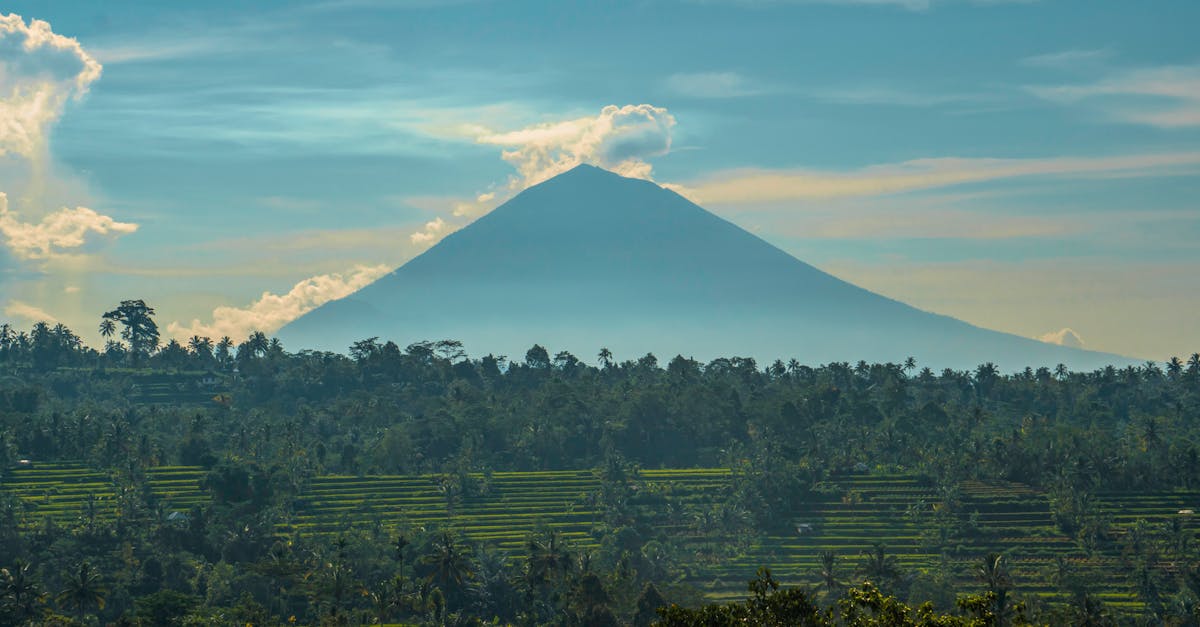 découvrez bali, l'île indonésienne paradisiaque réputée pour ses plages de rêve, ses rizières verdoyantes, sa culture unique et ses temples majestueux. préparez votre prochain voyage à bali et vivez une expérience inoubliable.