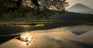découvrez les bienfaits de la lumière du soleil sur la santé : énergie, vitamine d, humeur et bien-être. conseils pour profiter du soleil de façon sûre et équilibrée.