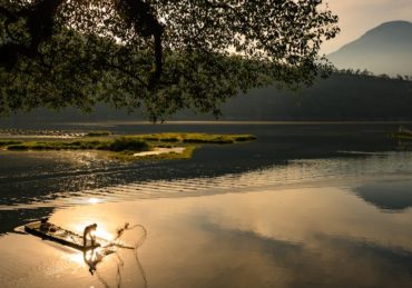découvrez les bienfaits de la lumière du soleil sur la santé : énergie, vitamine d, humeur et bien-être. conseils pour profiter du soleil de façon sûre et équilibrée.